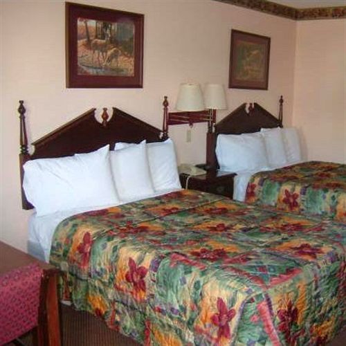 Clairmont Inn & Suites - Warren חדר תמונה